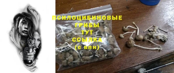 эйфоретик Богданович