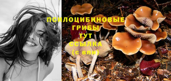 дживик Богородицк