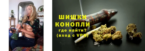 дживик Богородицк