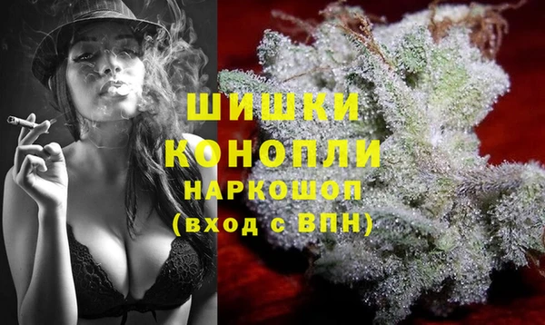 дживик Богородицк