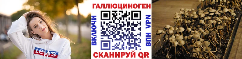 МЕГА онион  Онега  Галлюциногенные грибы мицелий 